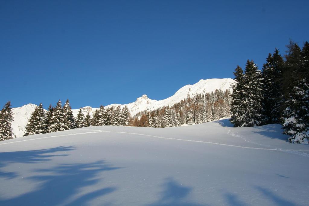 Haus Mattle Apartment Pettneu am Arlberg Exterior photo